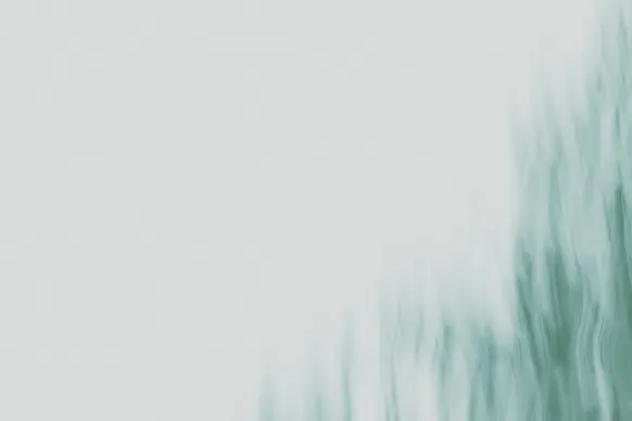 Casino Wild Tornado Soporte